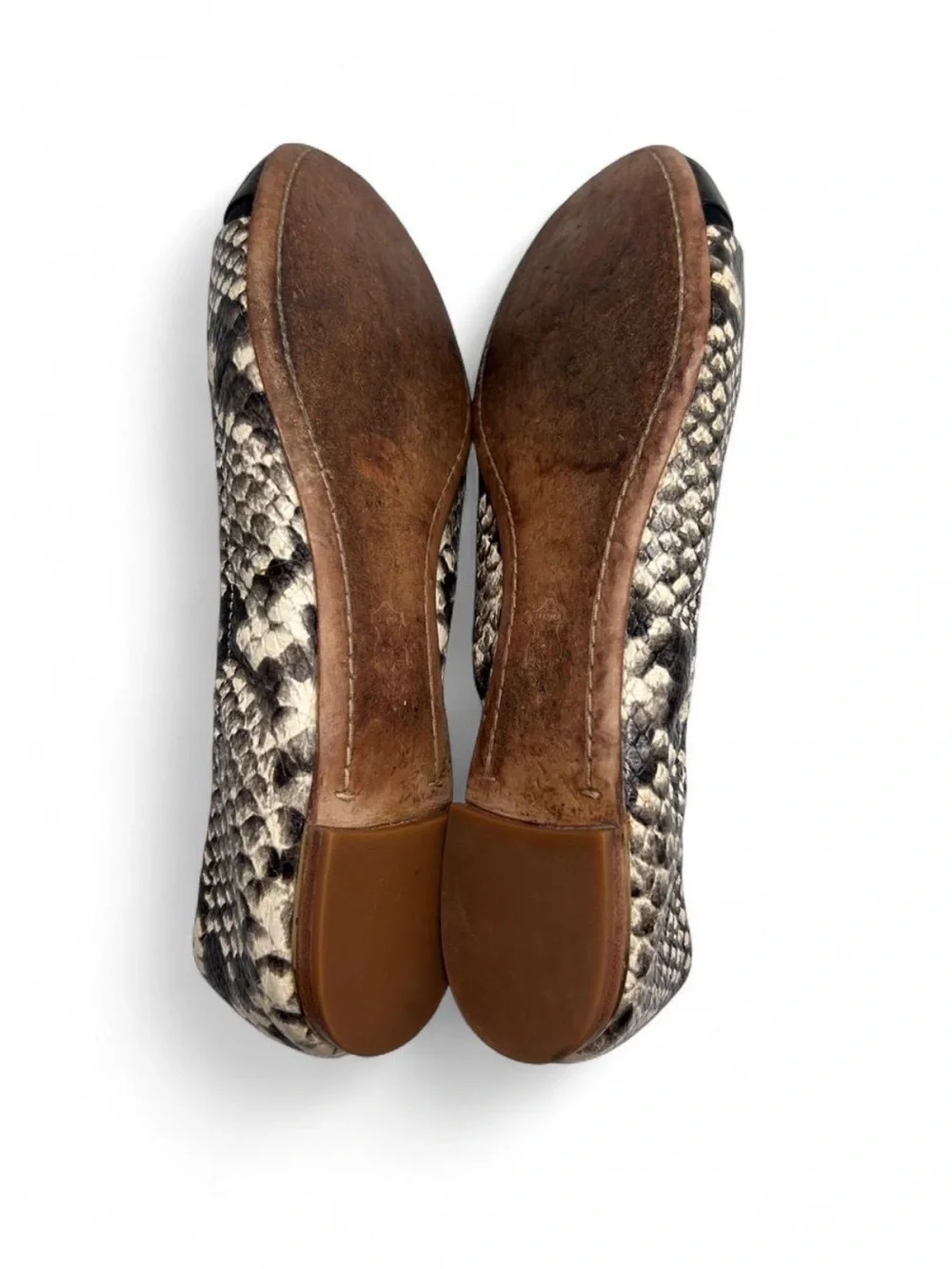 Tory Burch material python